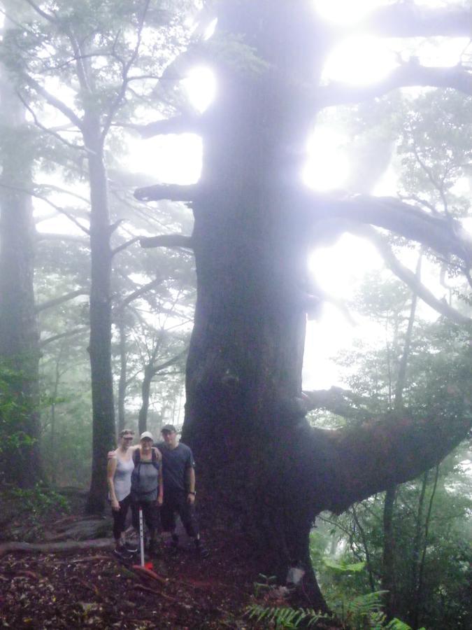 Kumano Backpackers Vandrerhjem Tanabe Eksteriør bilde